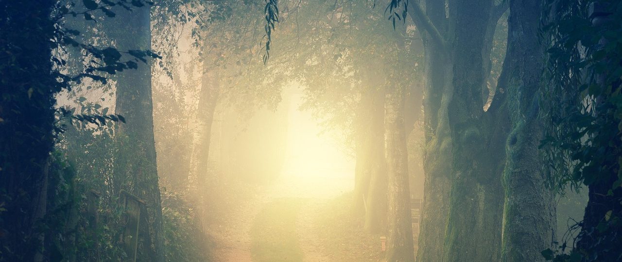 Voyage hypnotique à Pau en groupe. Séance de libération et relaxation mêlant, hypnose, sophrologie. Le Passage est une expérience immersive pour lâcher prise, apaiser le mental et explorer son monde intérieur. Ces séances de groupe favorise la détente, la libération émotionnelle et la reconnexion à soi, dans un cadre bienveillant et sécurisant.